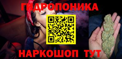 бошки Пенза