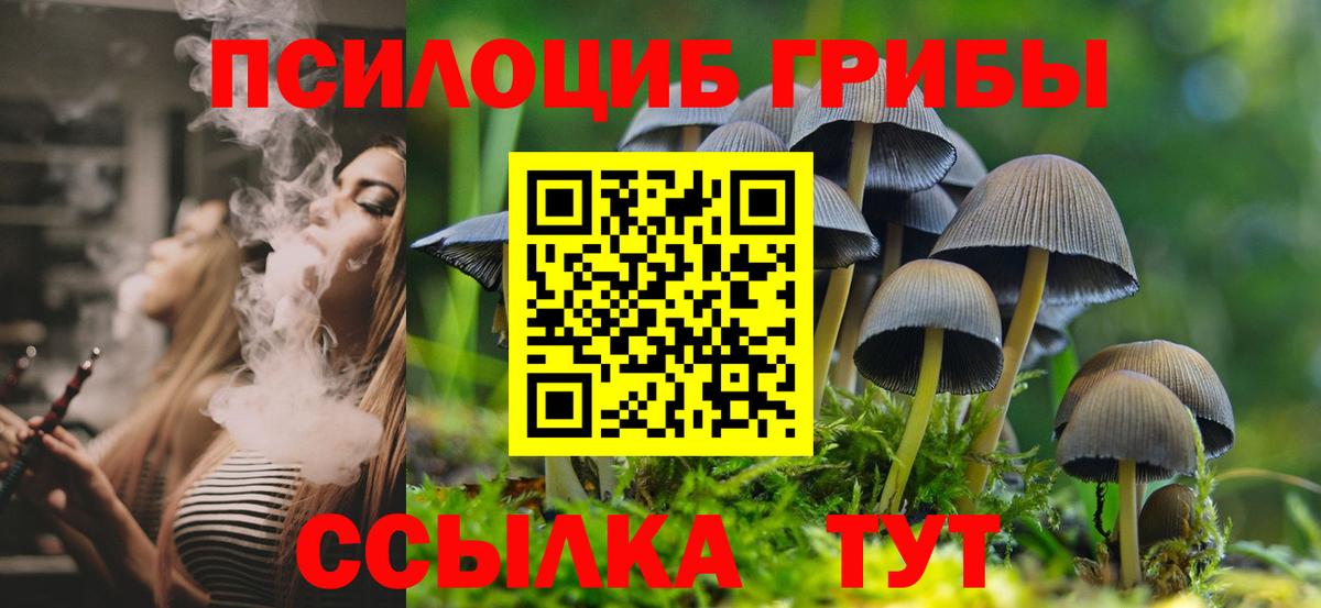 Галлюциногенные грибы мухоморы Саки