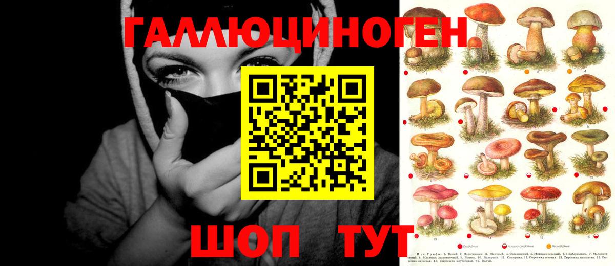 Саки  Псилоцибиновые грибы Cubensis  Вход с VPN 